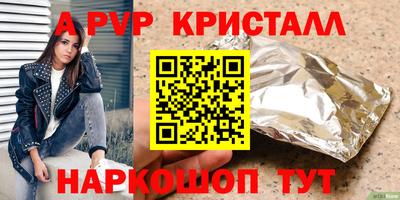 спайс Кингисепп