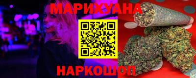 спайс Кингисепп
