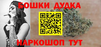 спайс Кингисепп