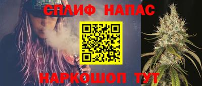 спайс Кингисепп