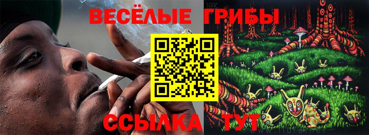 Псилоцибиновые грибы MAGIC MUSHROOMS Павлово