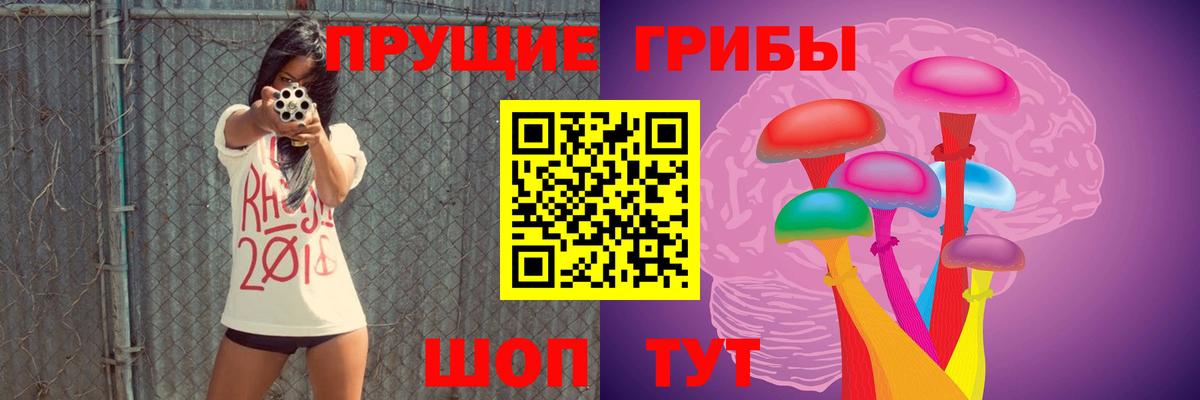 Псилоцибиновые грибы Psilocybe  купить  сайты  Павлово  Вход с VPN 